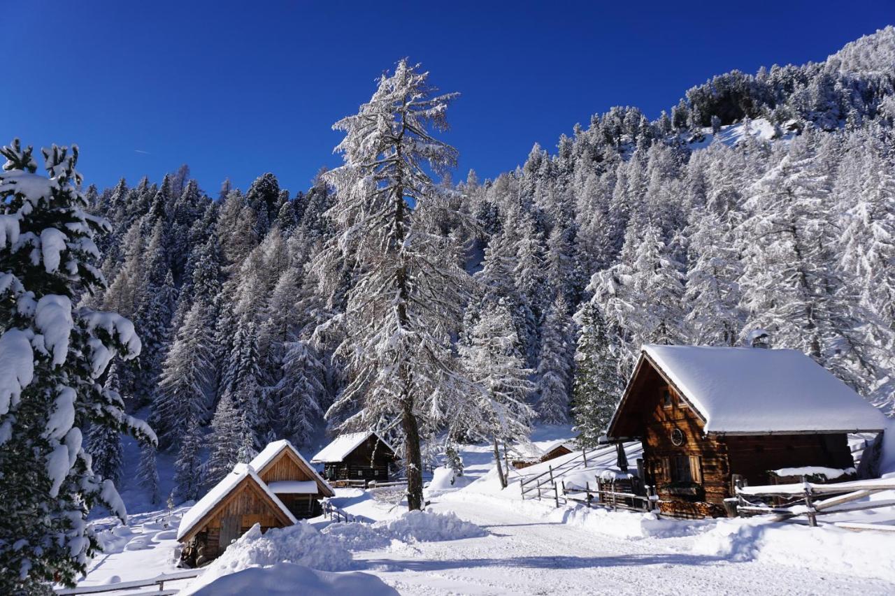 Bergheim Schmidt, Almhuetten Im Wald Appartments An Der Piste Alpine Huts In Forrest Appartments Near Slope Turracher Hohe Dış mekan fotoğraf