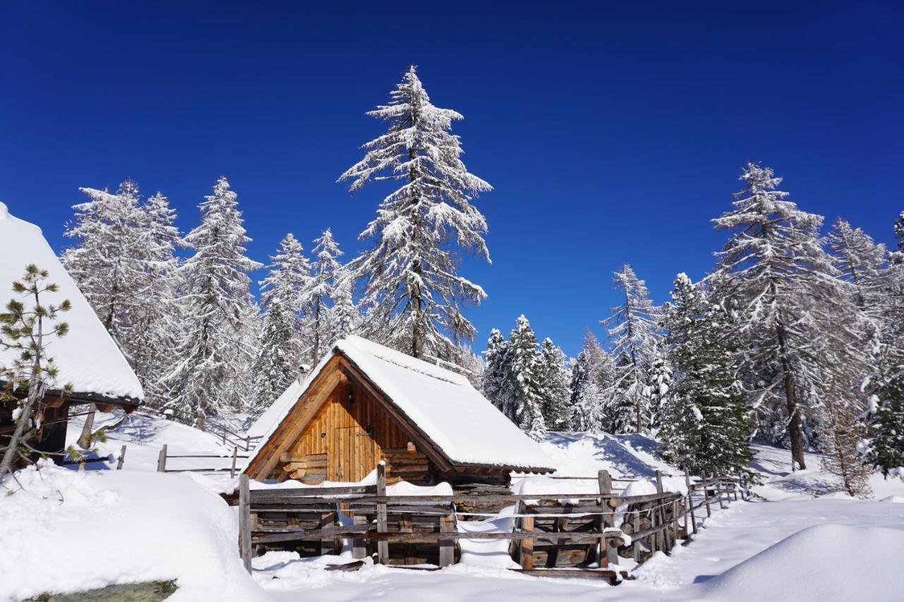 Bergheim Schmidt, Almhuetten Im Wald Appartments An Der Piste Alpine Huts In Forrest Appartments Near Slope Turracher Hohe Dış mekan fotoğraf