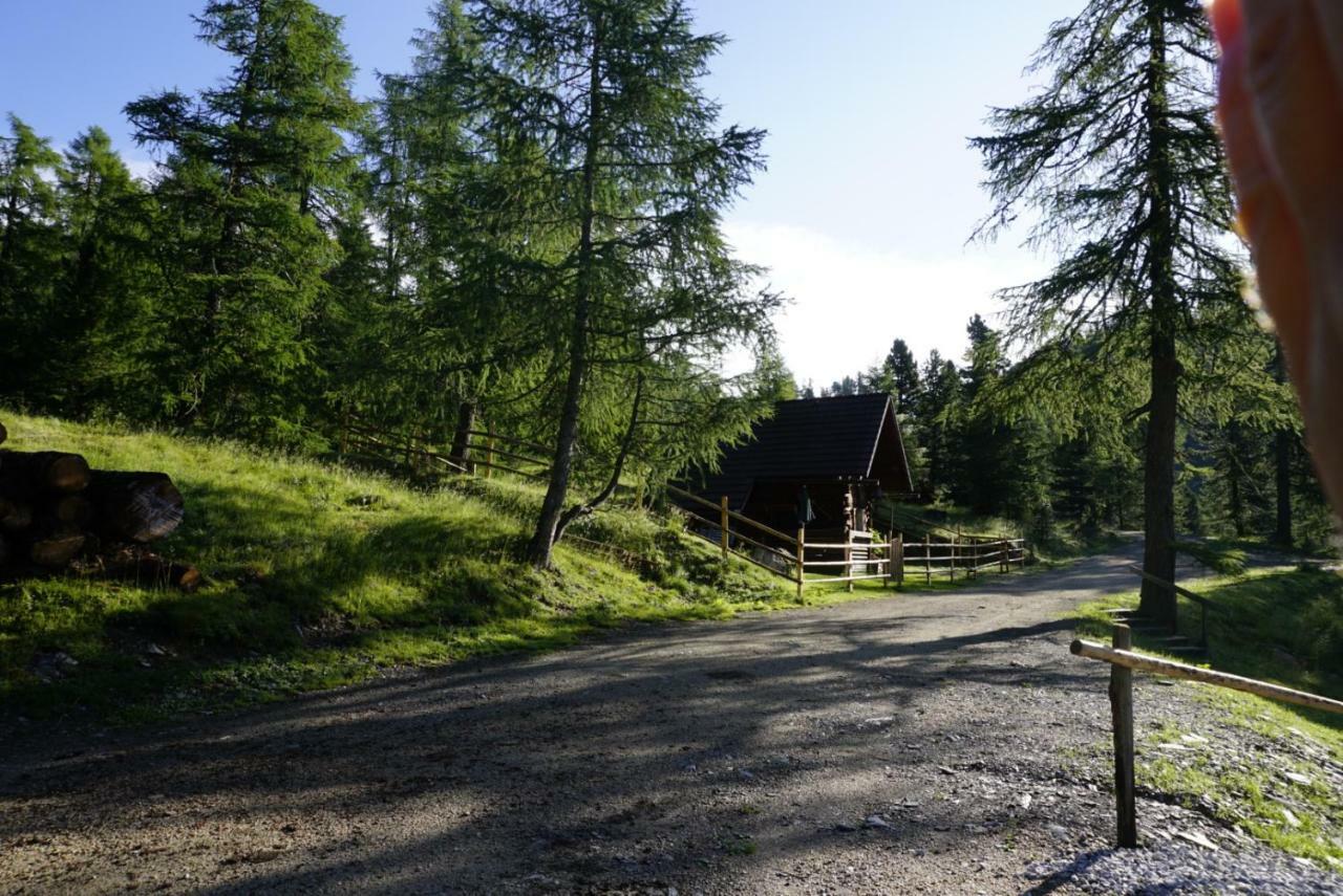 Bergheim Schmidt, Almhuetten Im Wald Appartments An Der Piste Alpine Huts In Forrest Appartments Near Slope Turracher Hohe Dış mekan fotoğraf